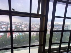 Neptune Court (D15), Apartment #517270711